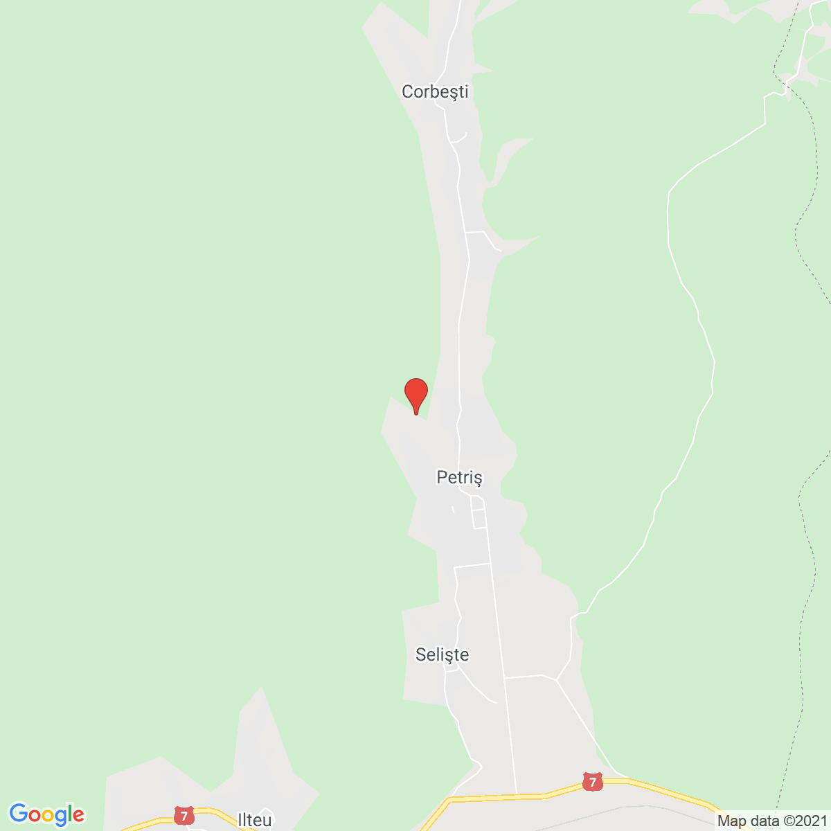 Petriş