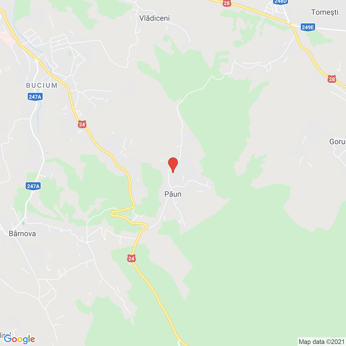 Păun