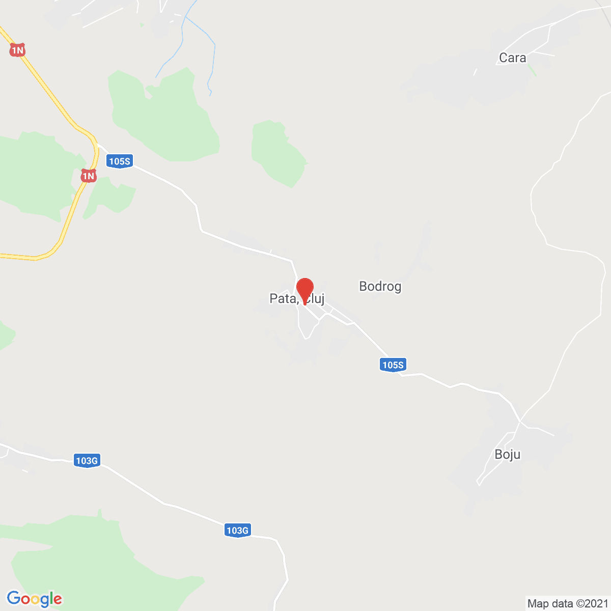 Pata