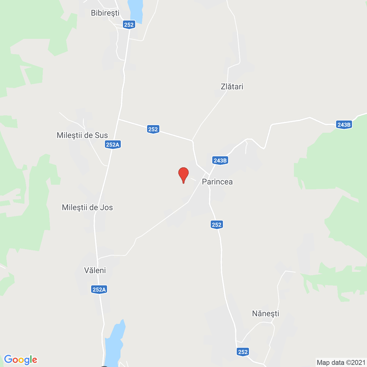 Parincea