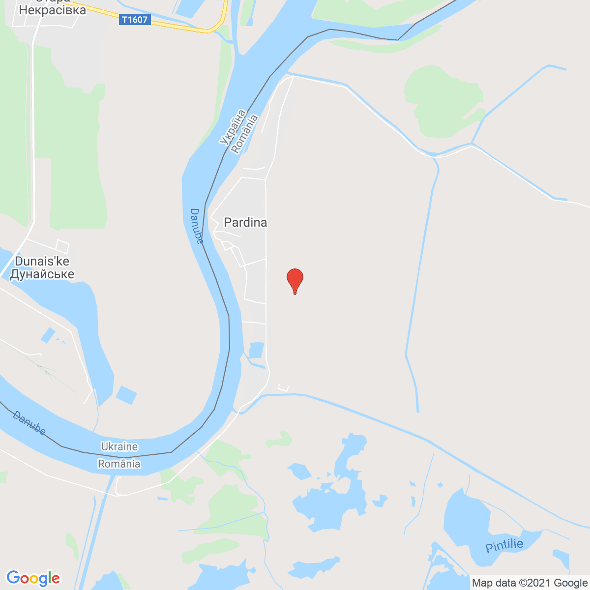 Pardina