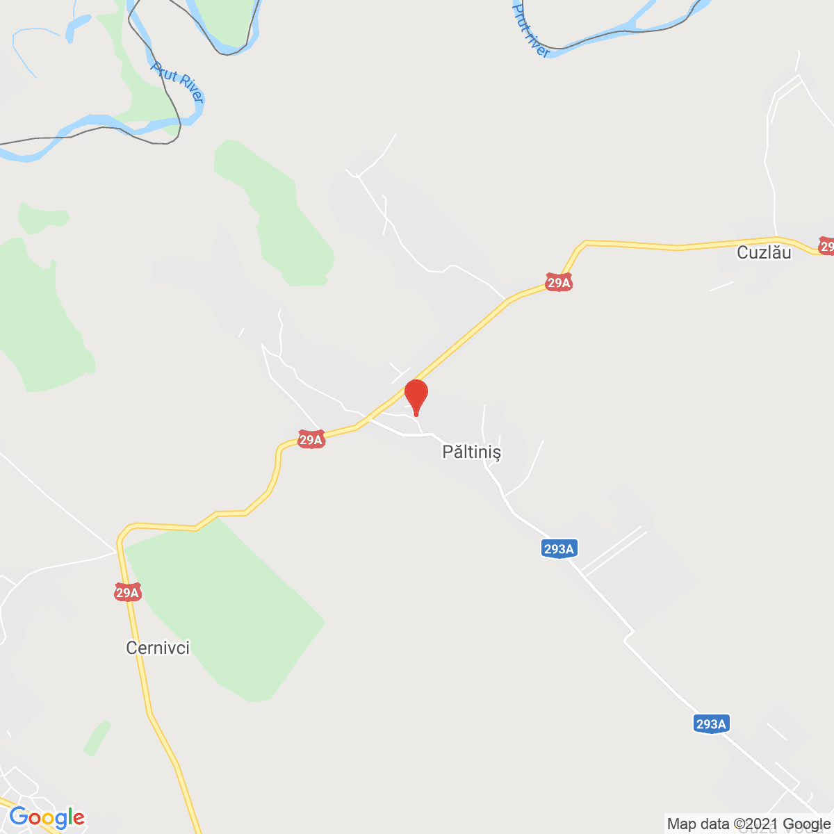 Păltiniş