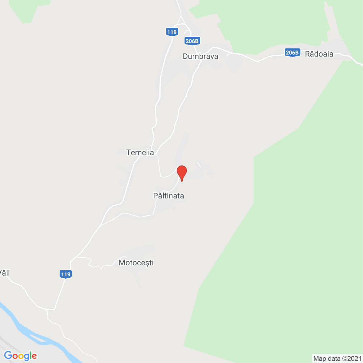 Păltinata
