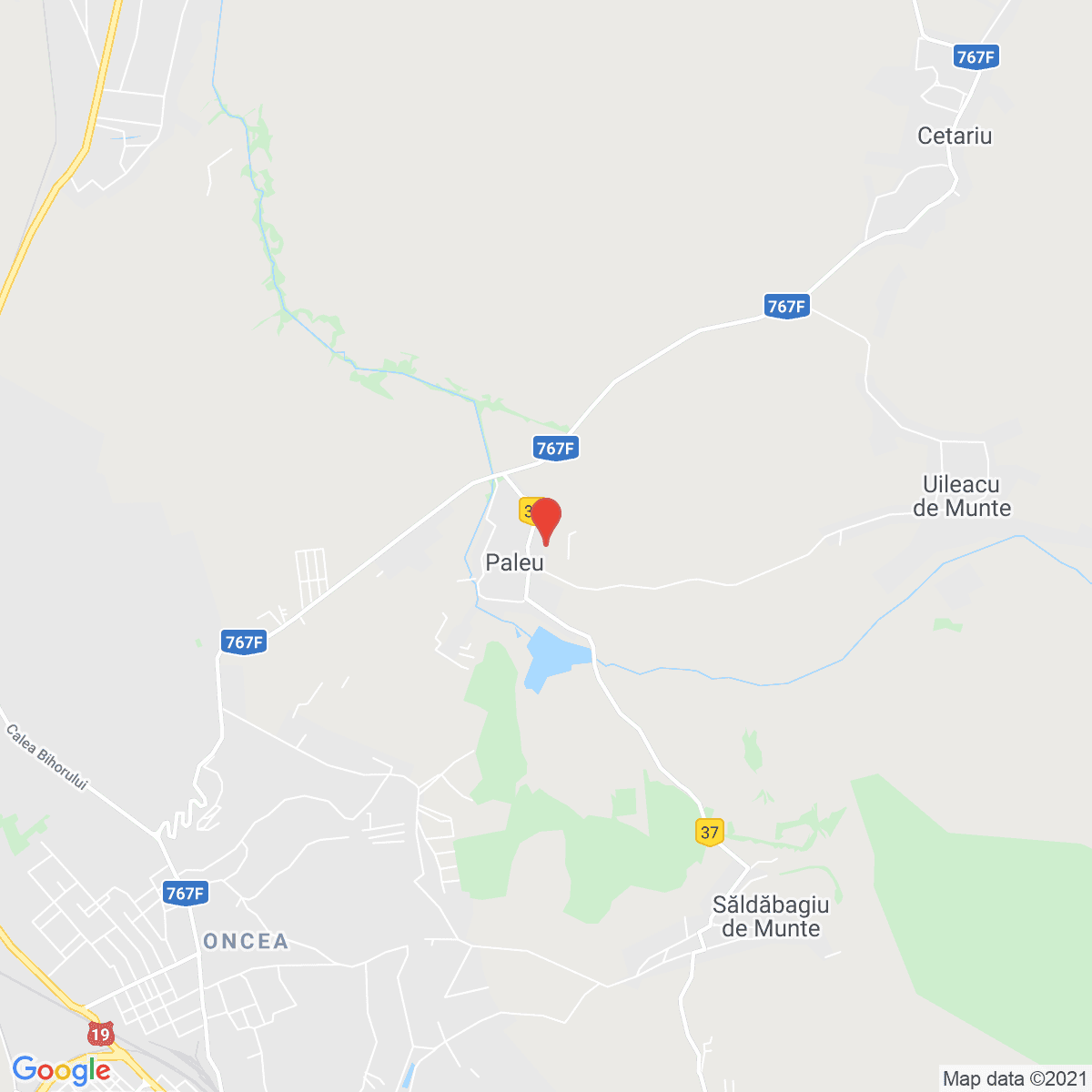 Paleu