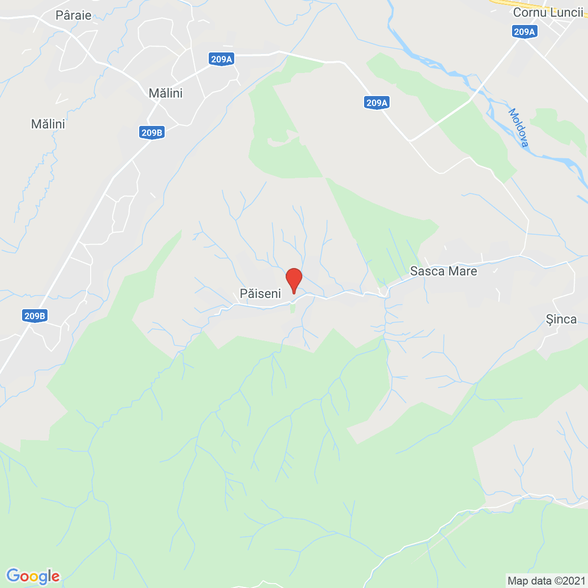 Păiseni