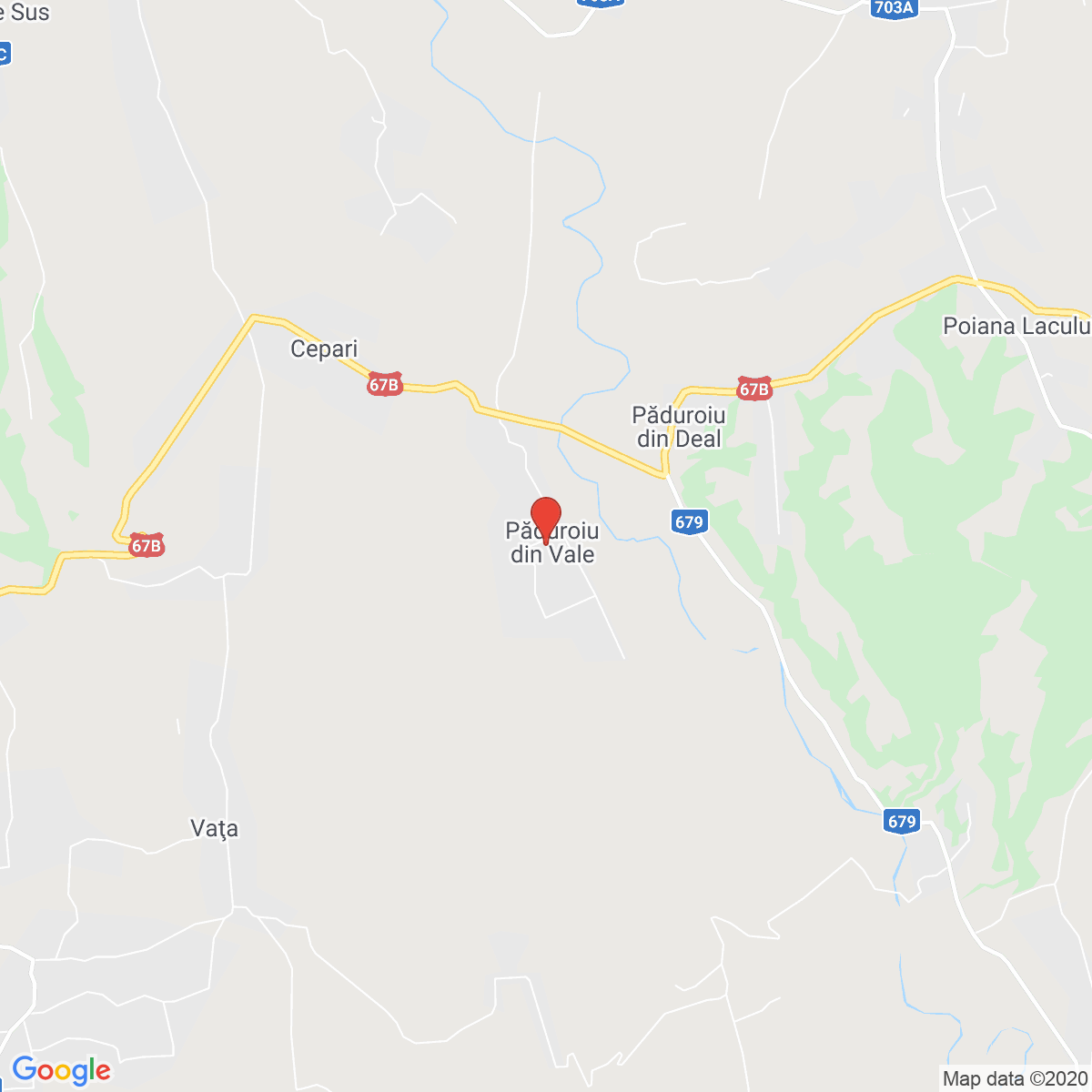 Păduroiu din Vale