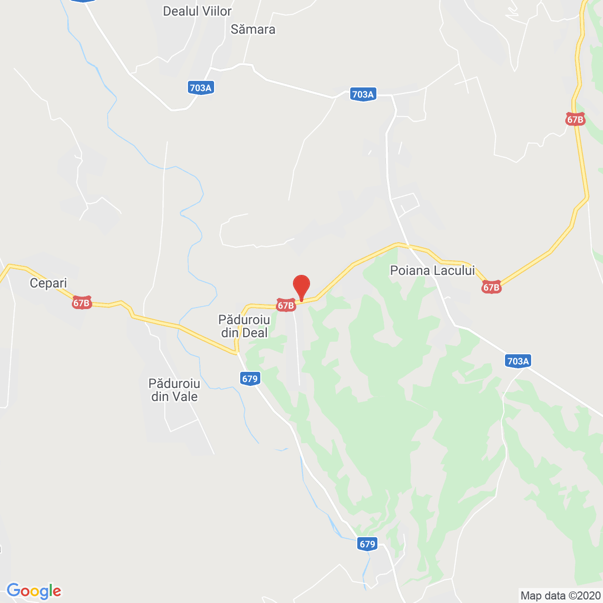 Păduroiu din Deal
