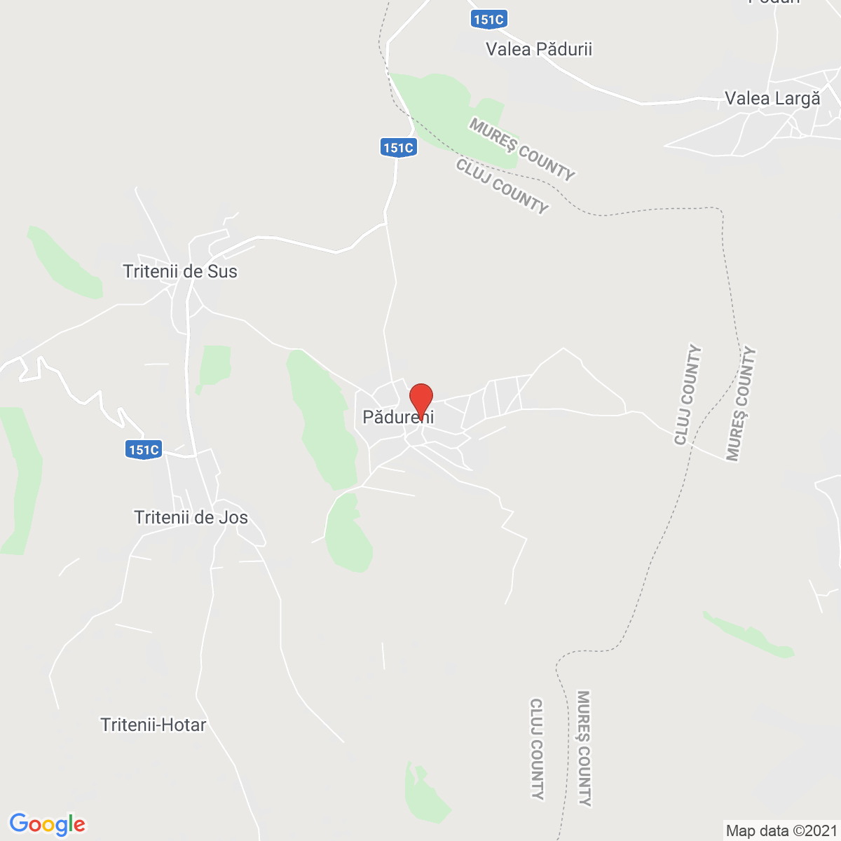 Pădureni