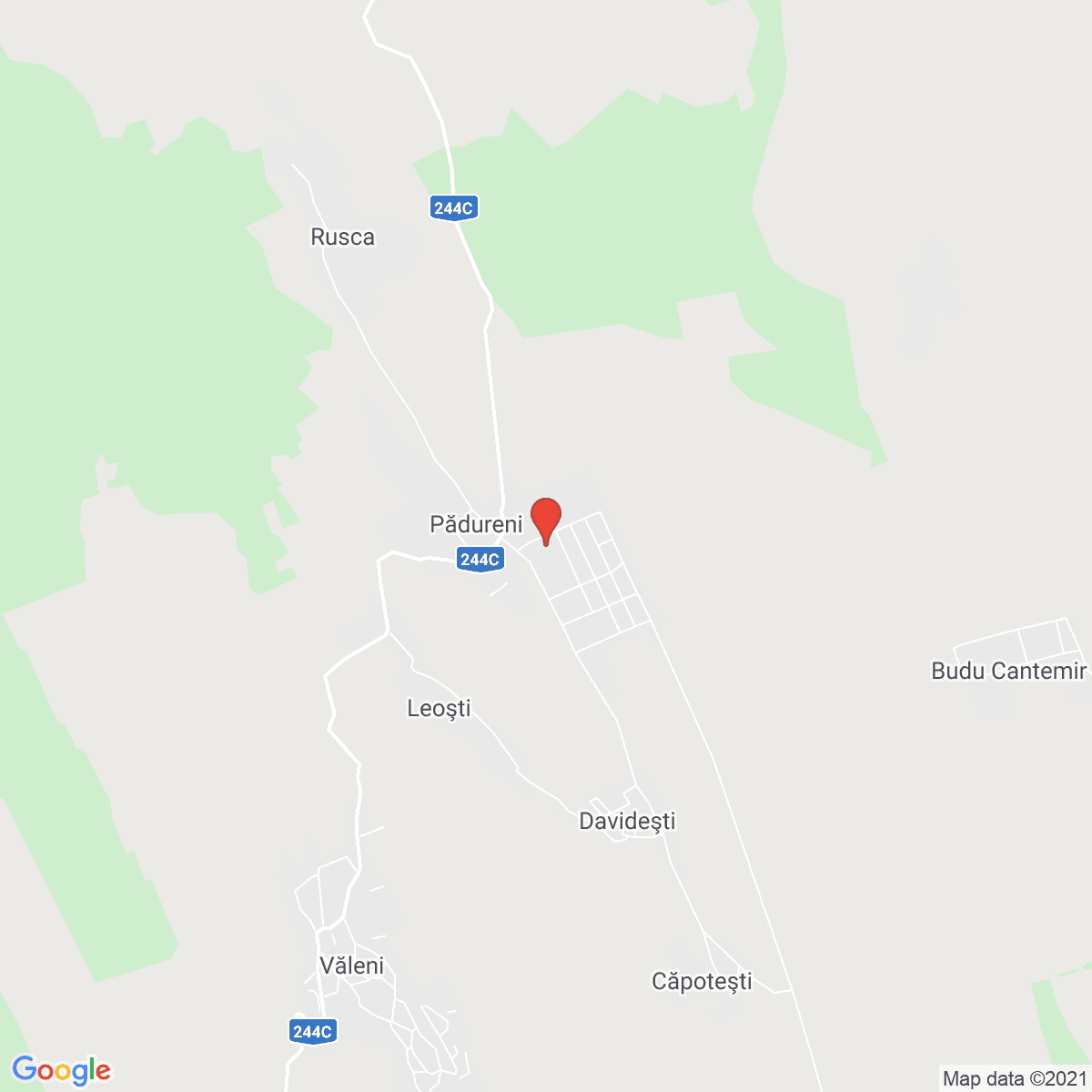 Pădureni