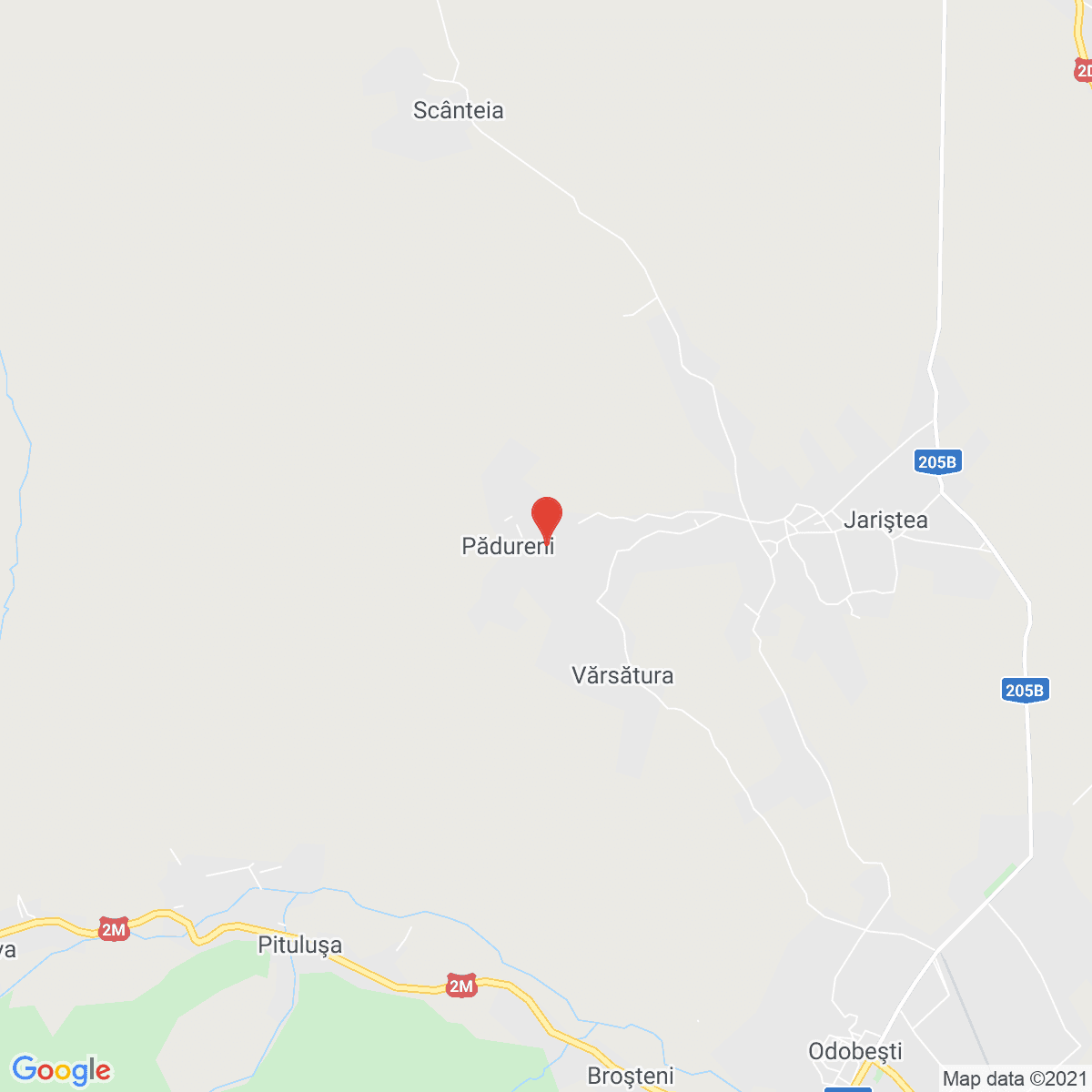 Pădureni
