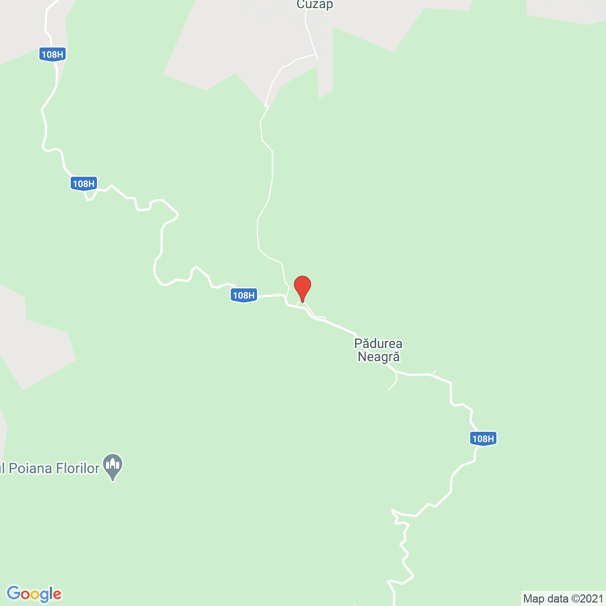 Pădurea Neagră
