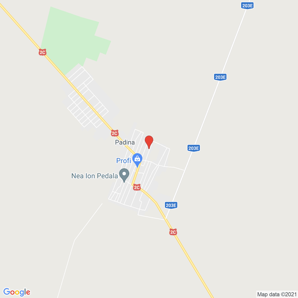 Padina