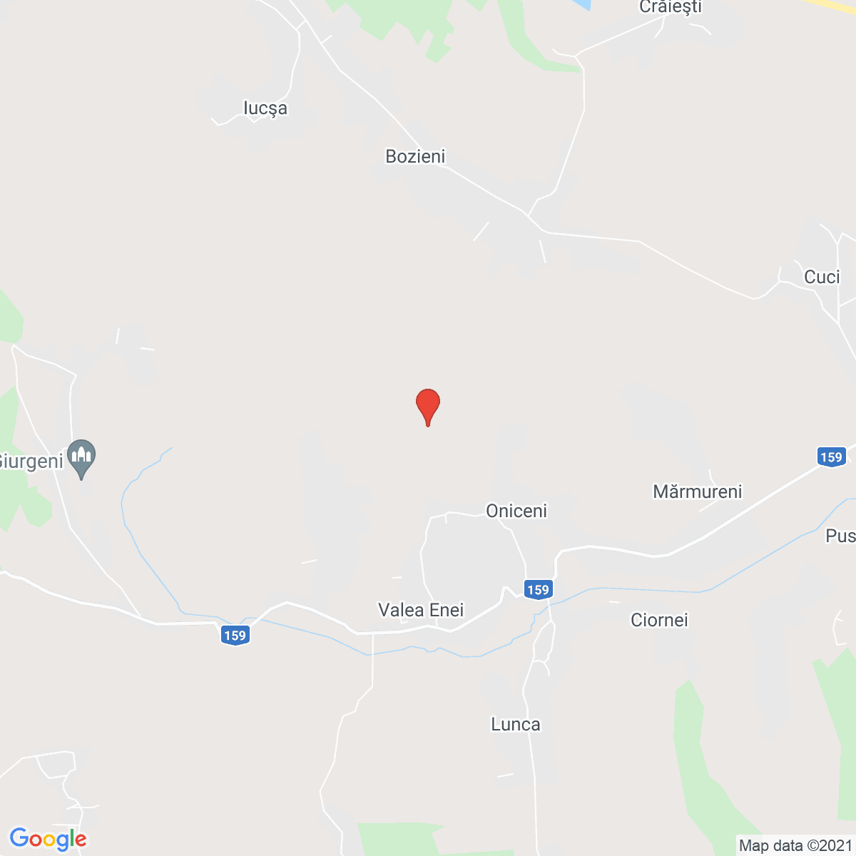 Oniceni