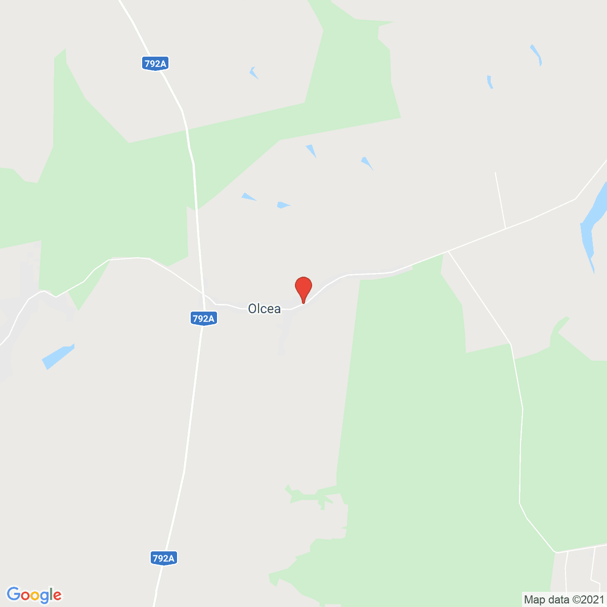 Olcea