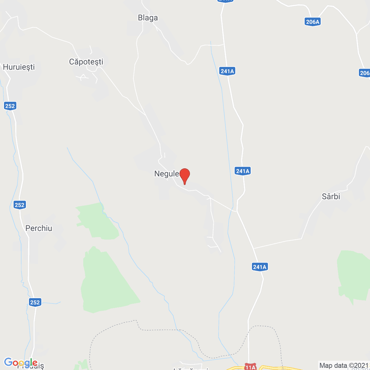 Negulești