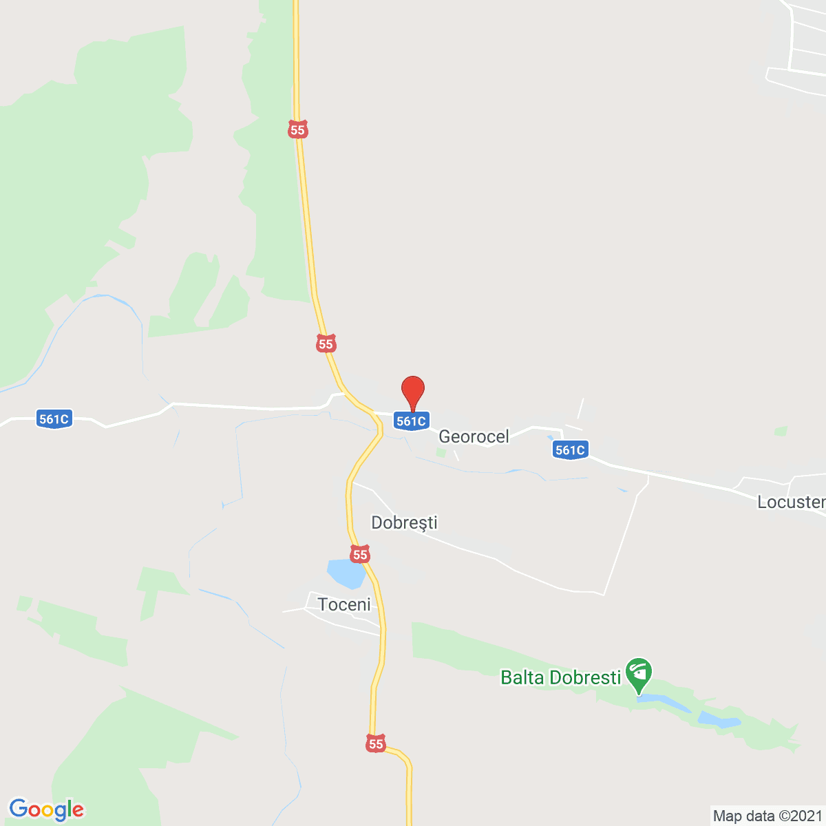 Murta