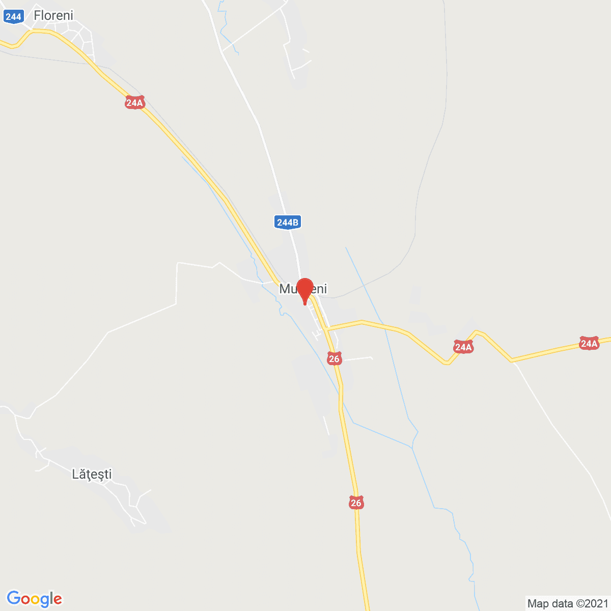 Murgeni