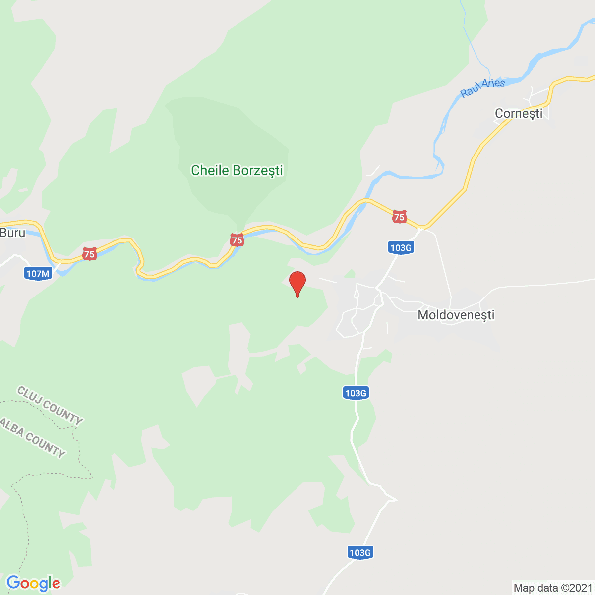 Moldoveneşti