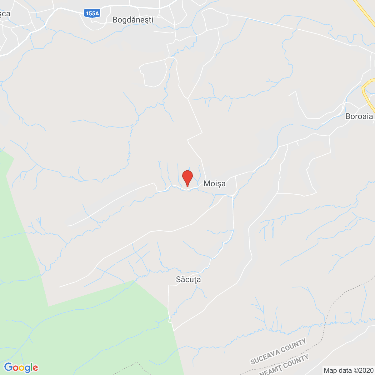Moișa