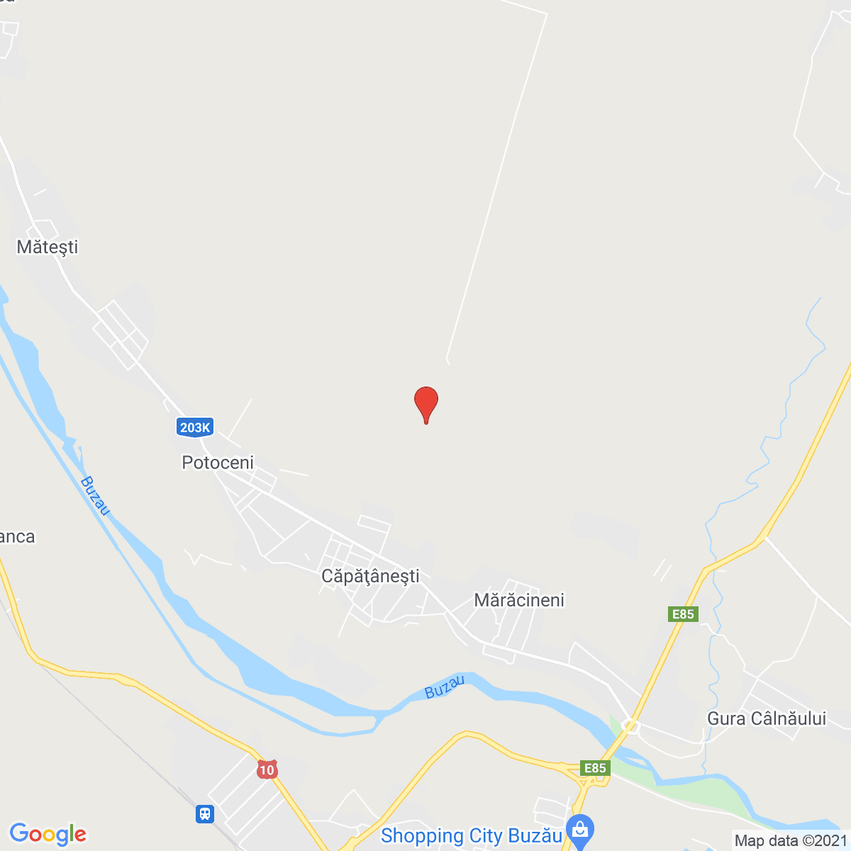 Mărăcineni