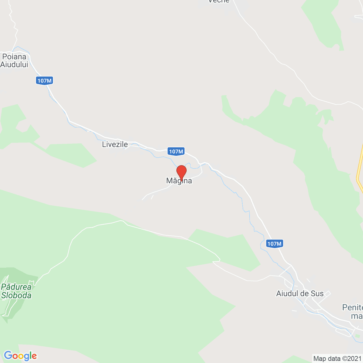 Măgina