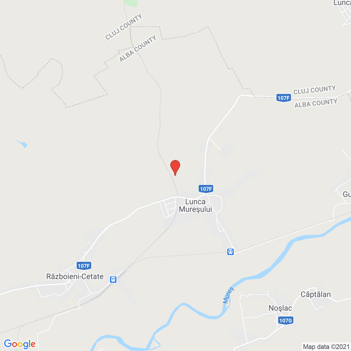 Lunca Mureşului