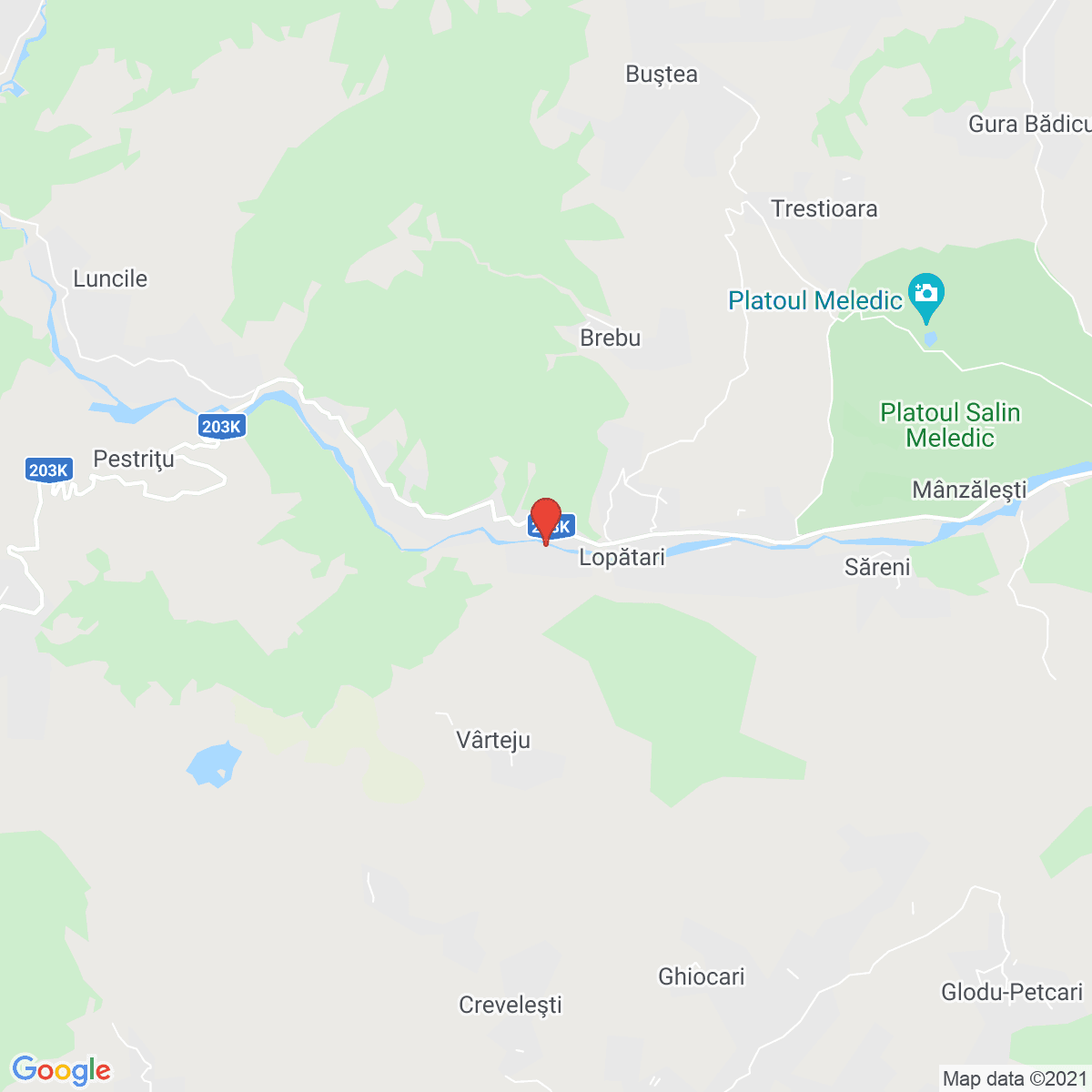 Lopătari