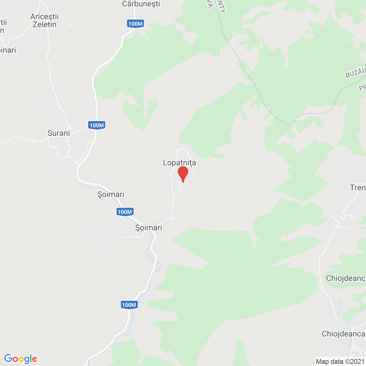 Lopatnița