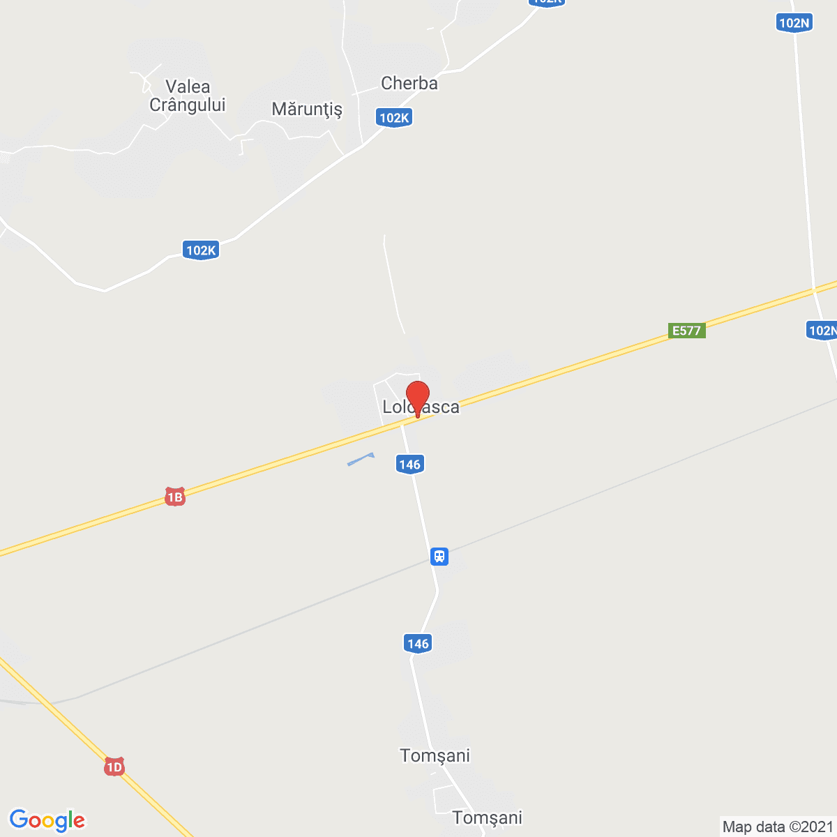 Loloiasca