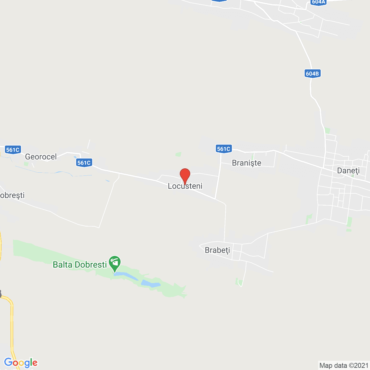 Locusteni