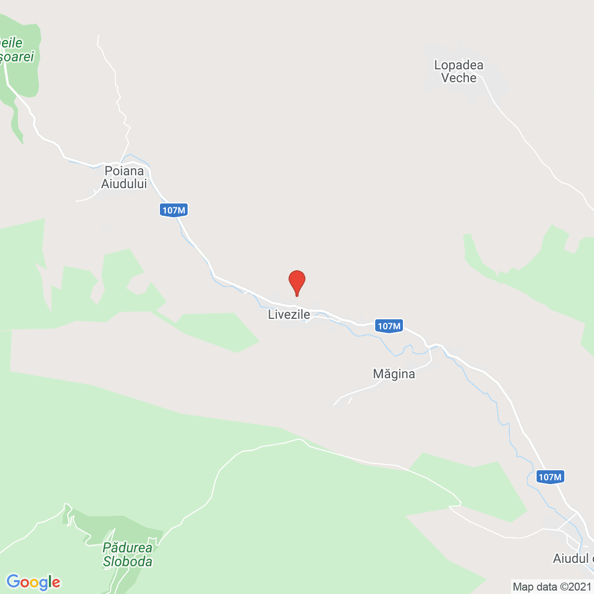 Livezile