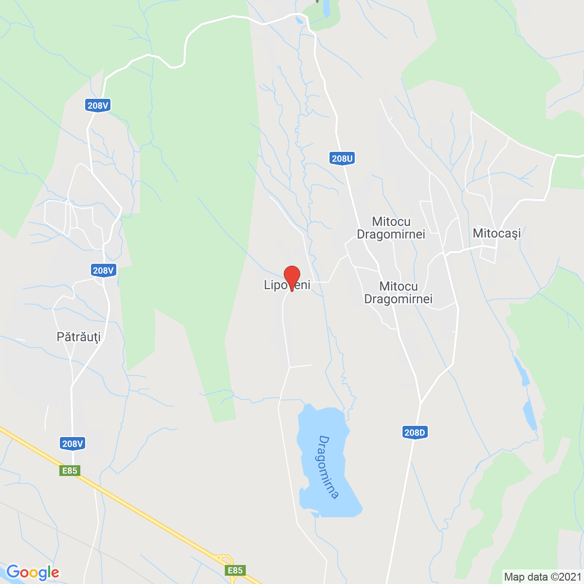 Lipoveni