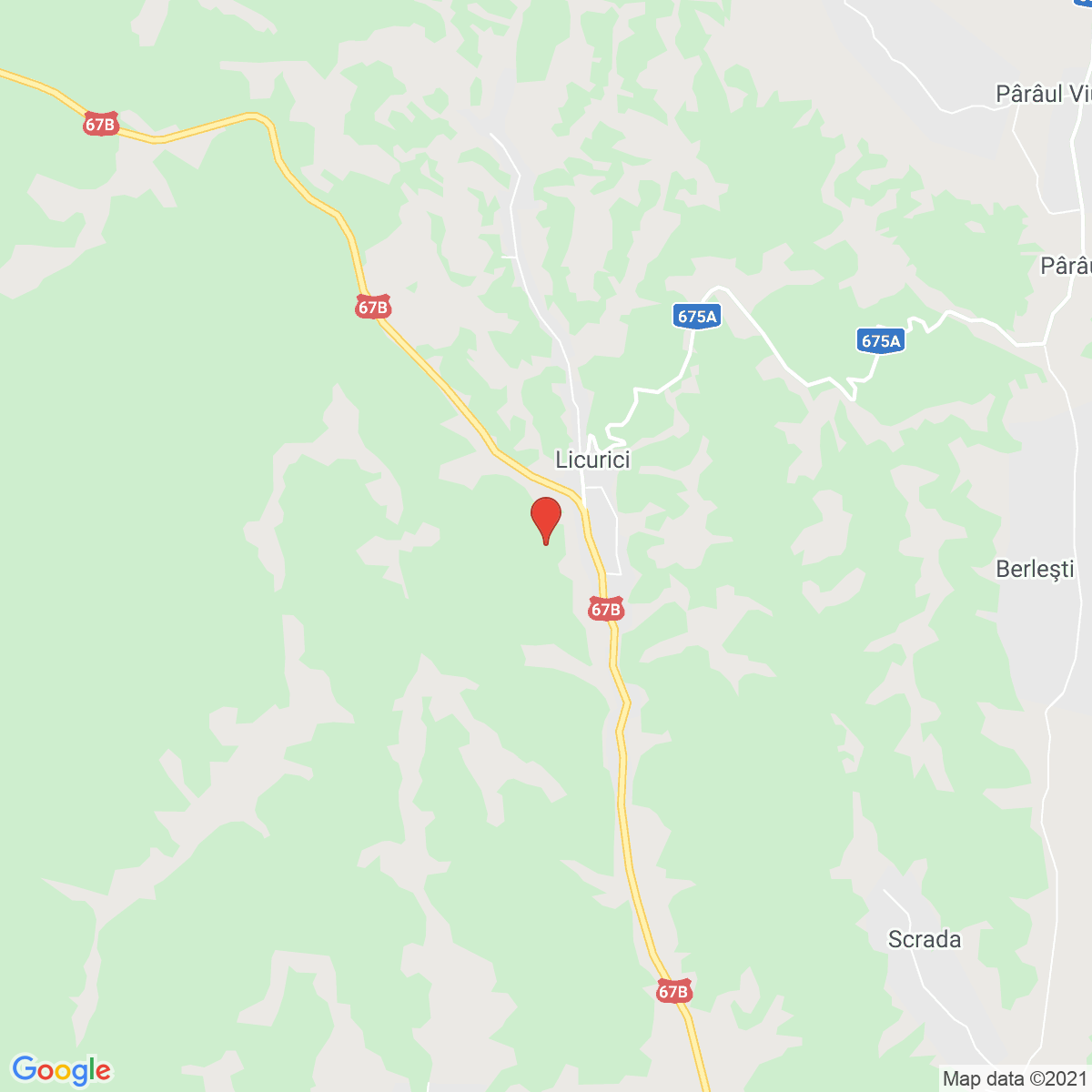 Licurici