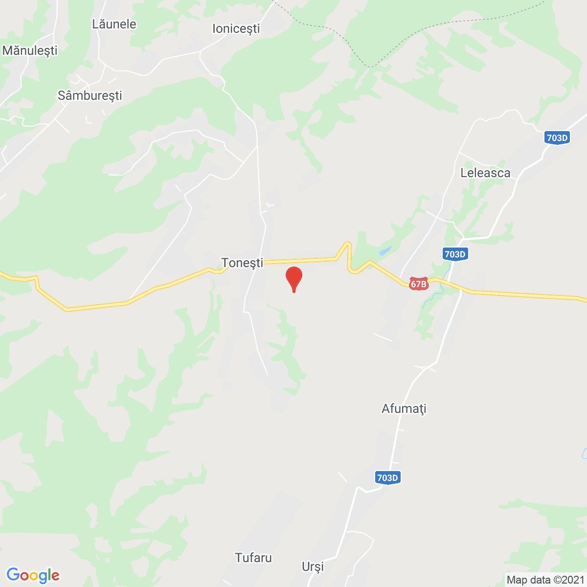 Leleasca