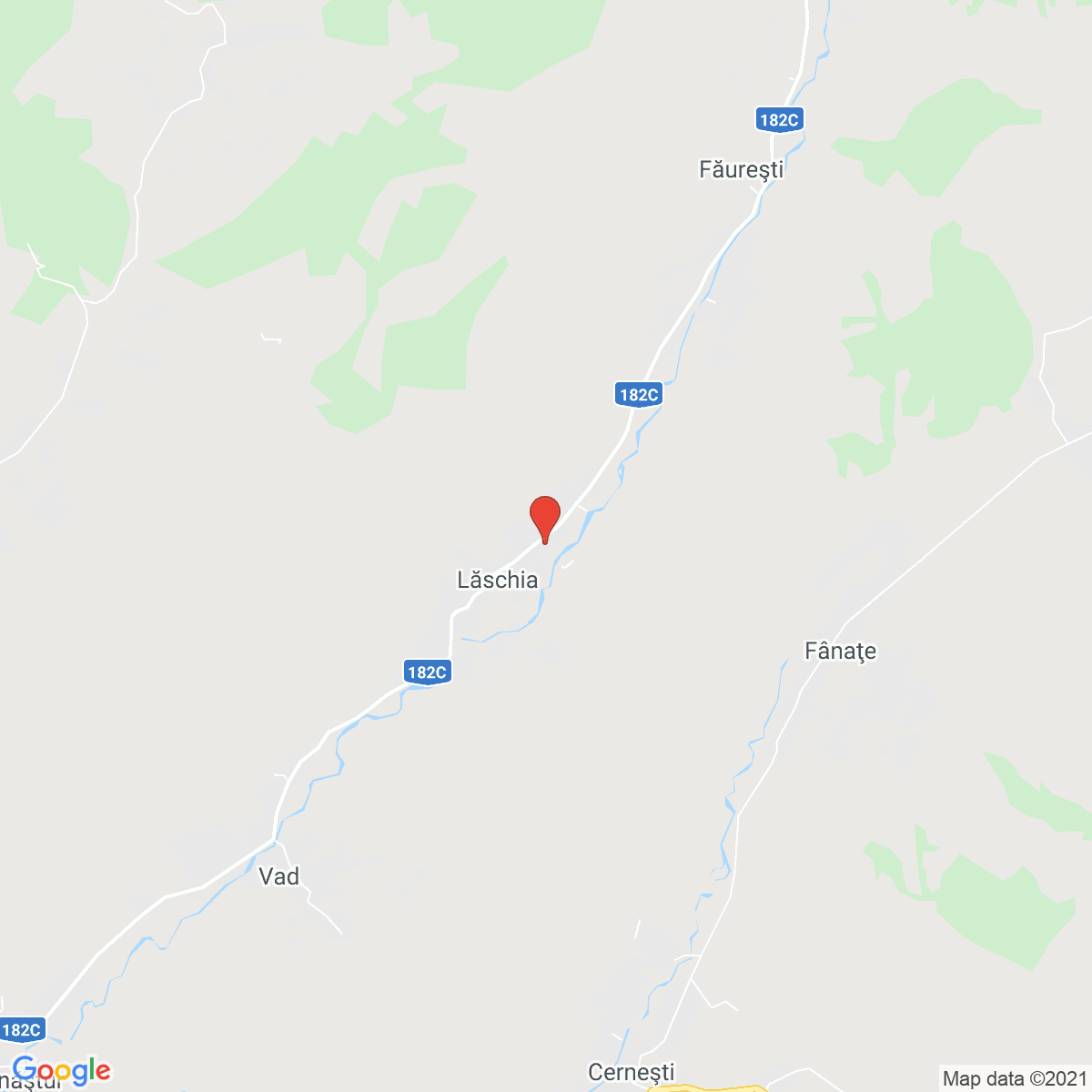 Lăschia