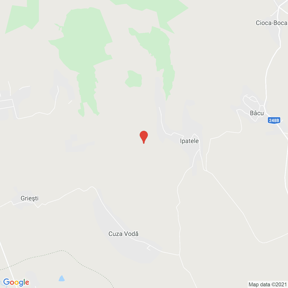 Ipatele