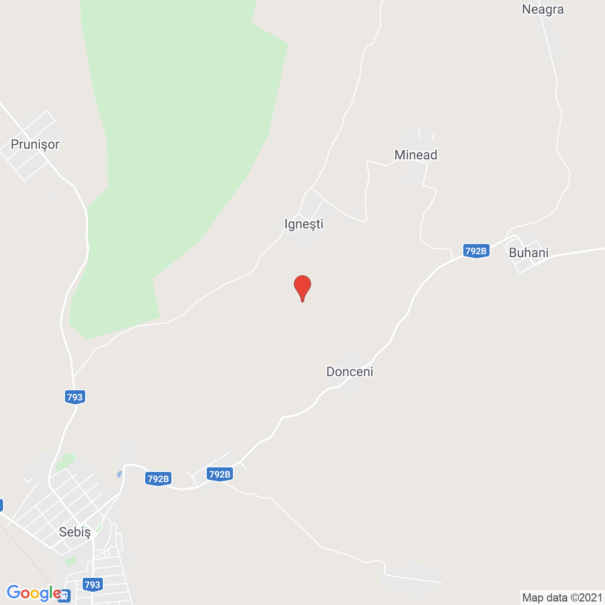 Igneşti