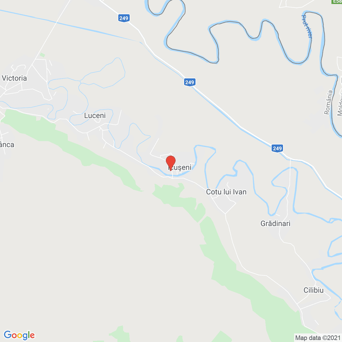 Icușeni