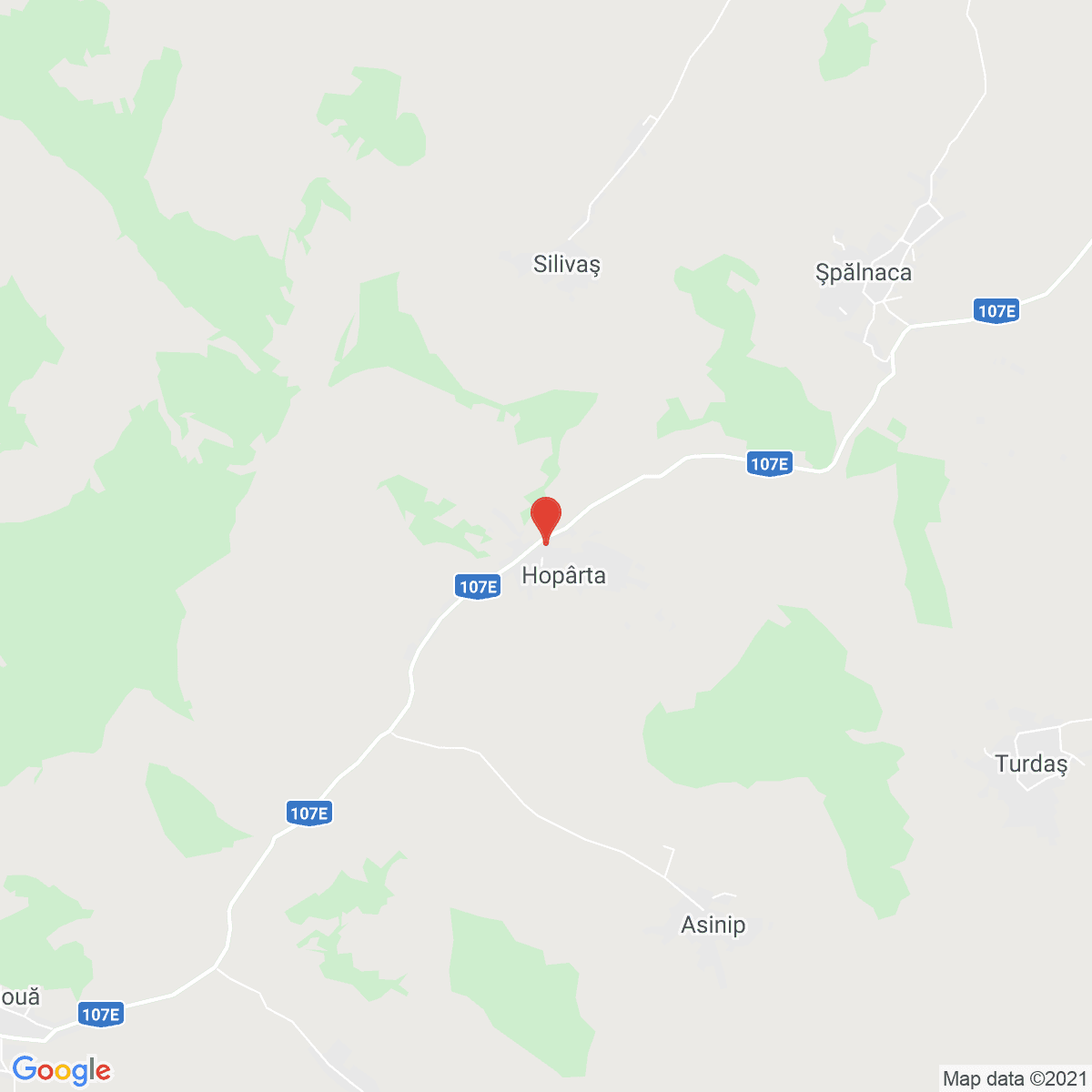 Hopârta