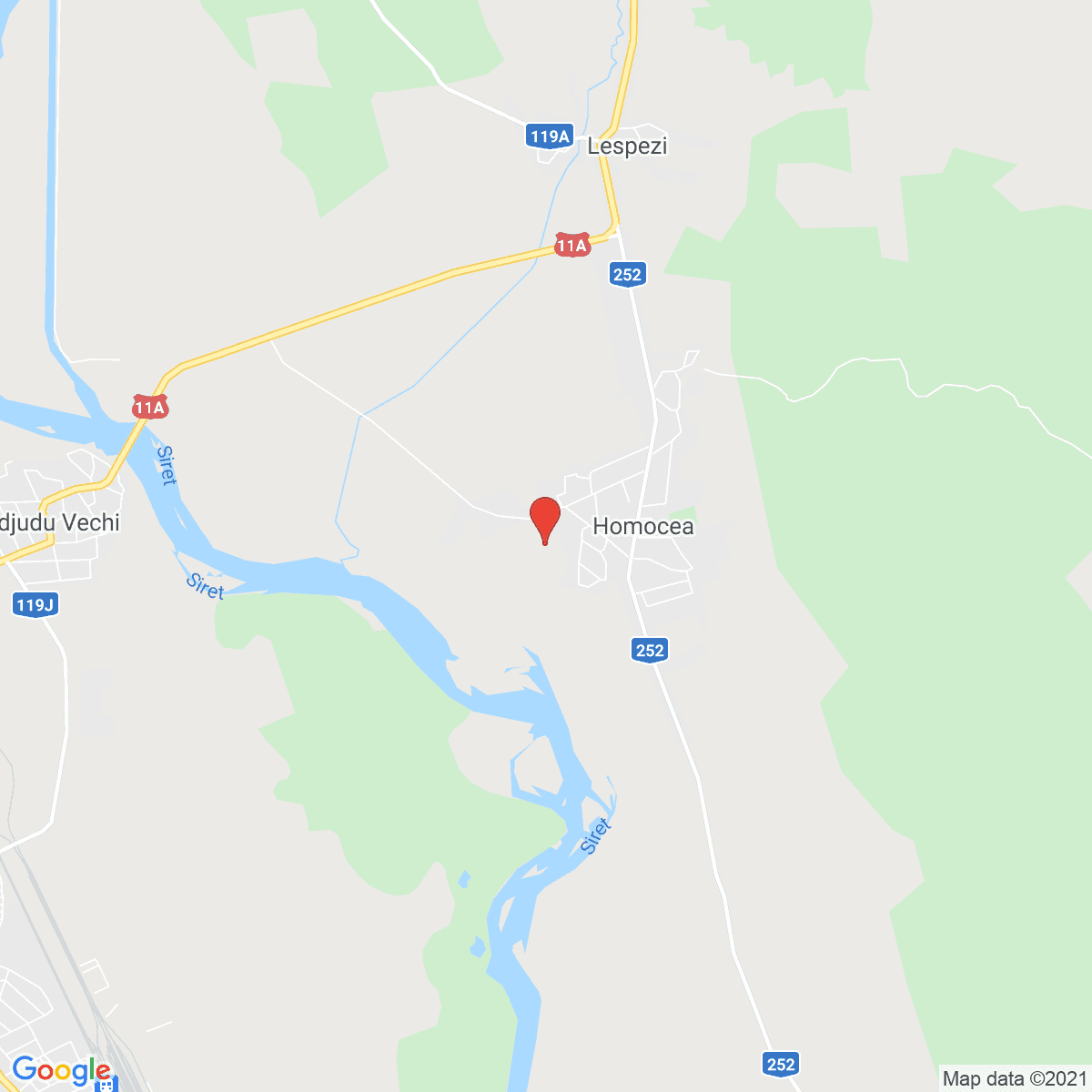 Homocea