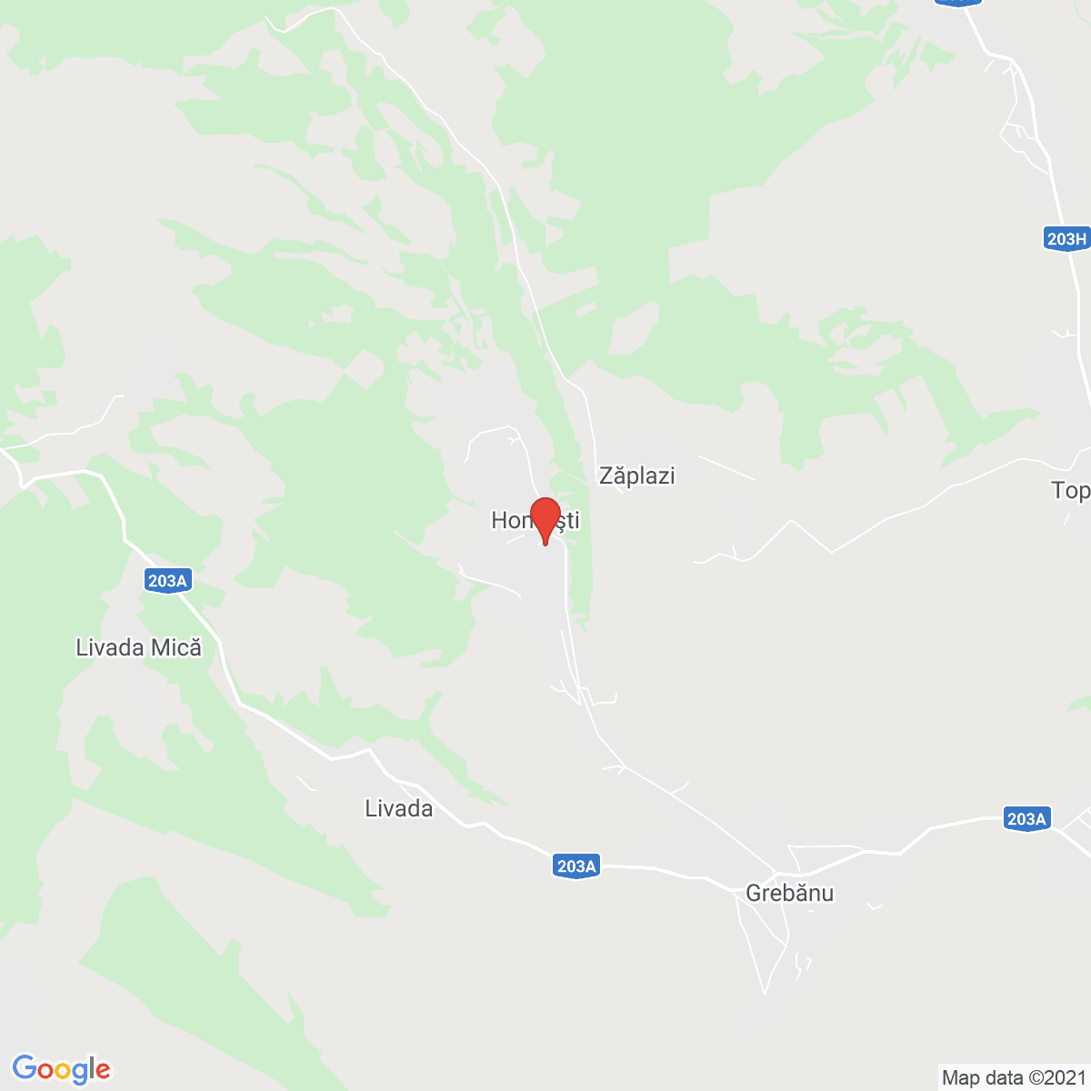 Homești