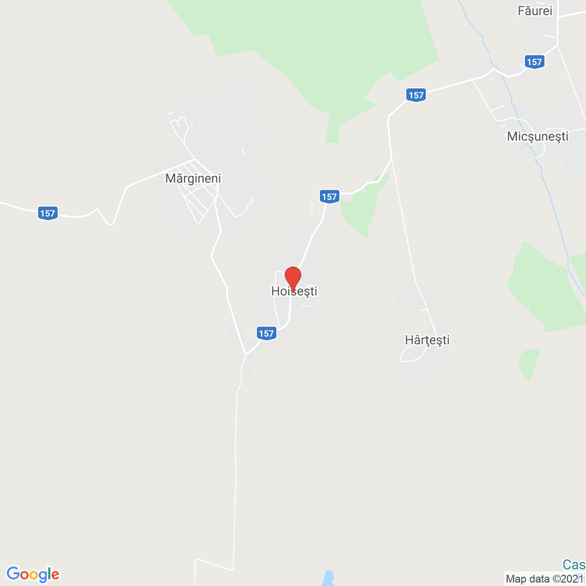 Hoisești
