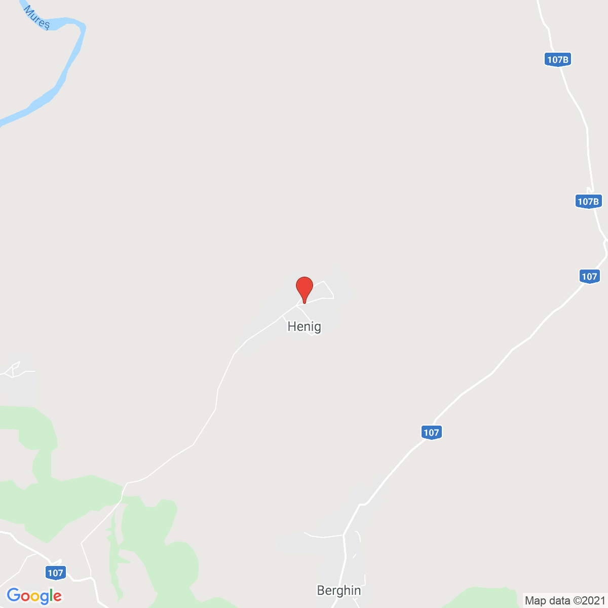 Henig