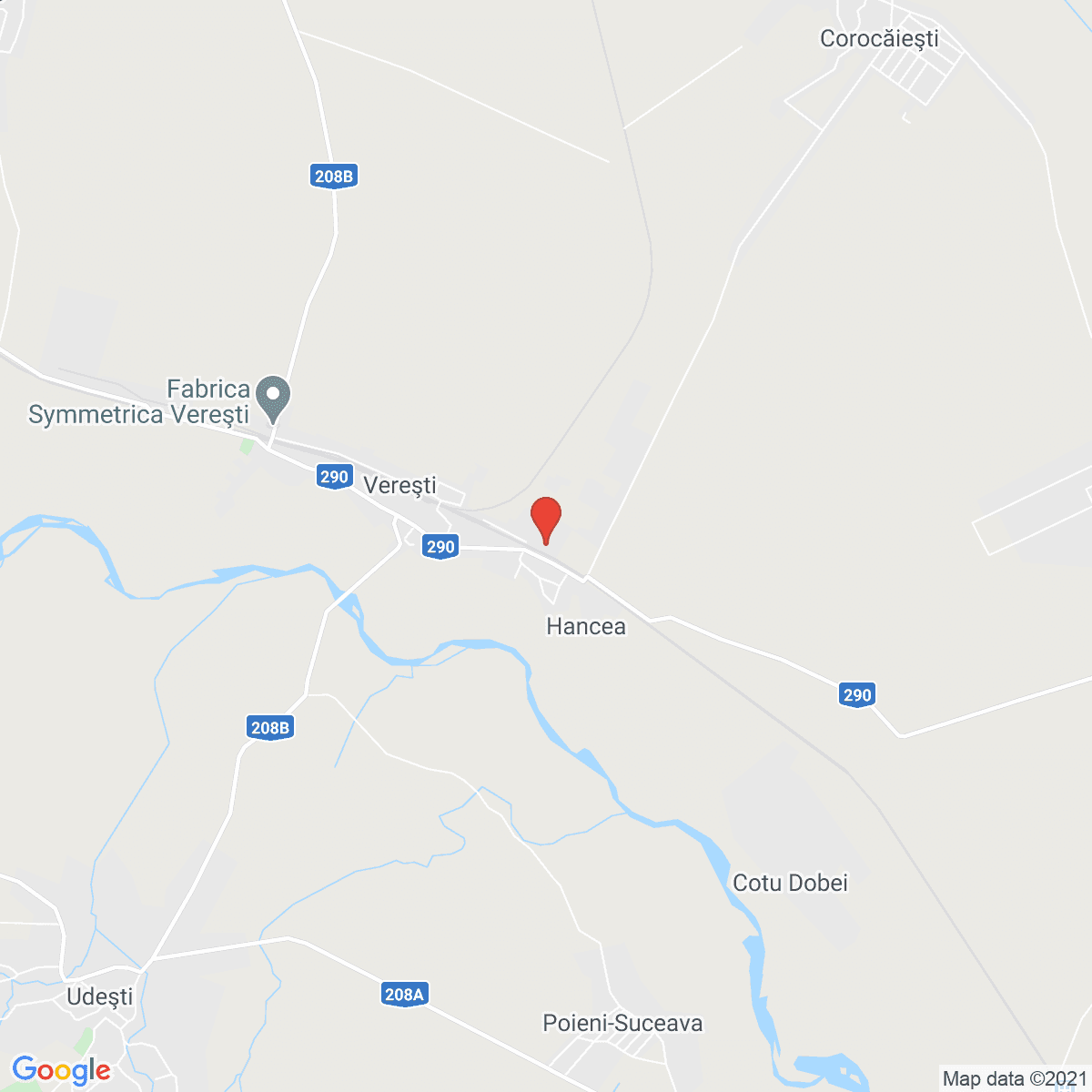 Hancea