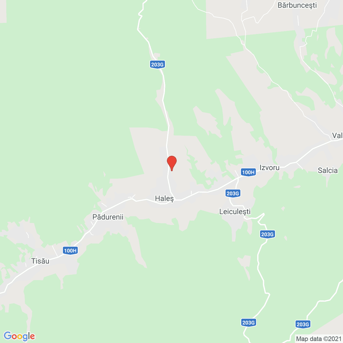 Haleș
