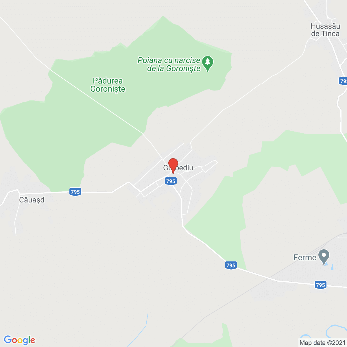 Gurbediu