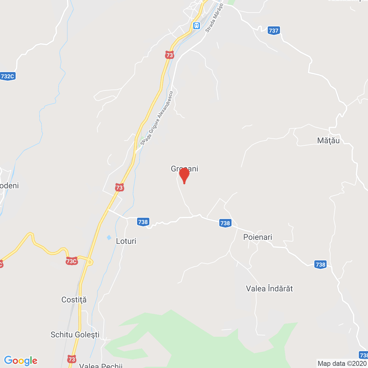 Groșani