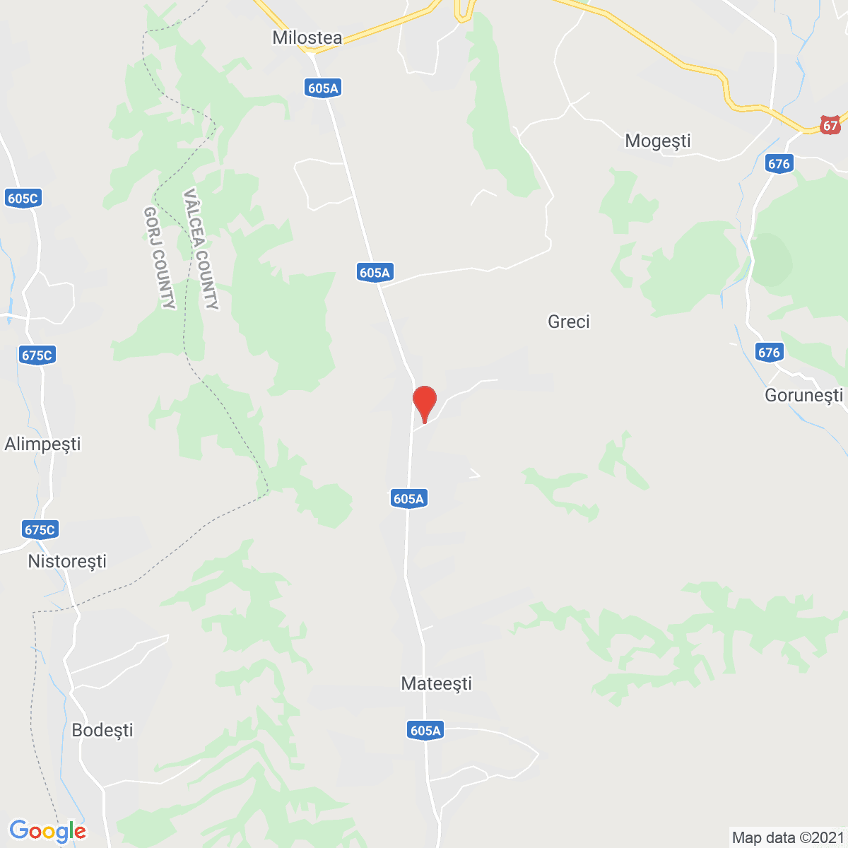 Greci