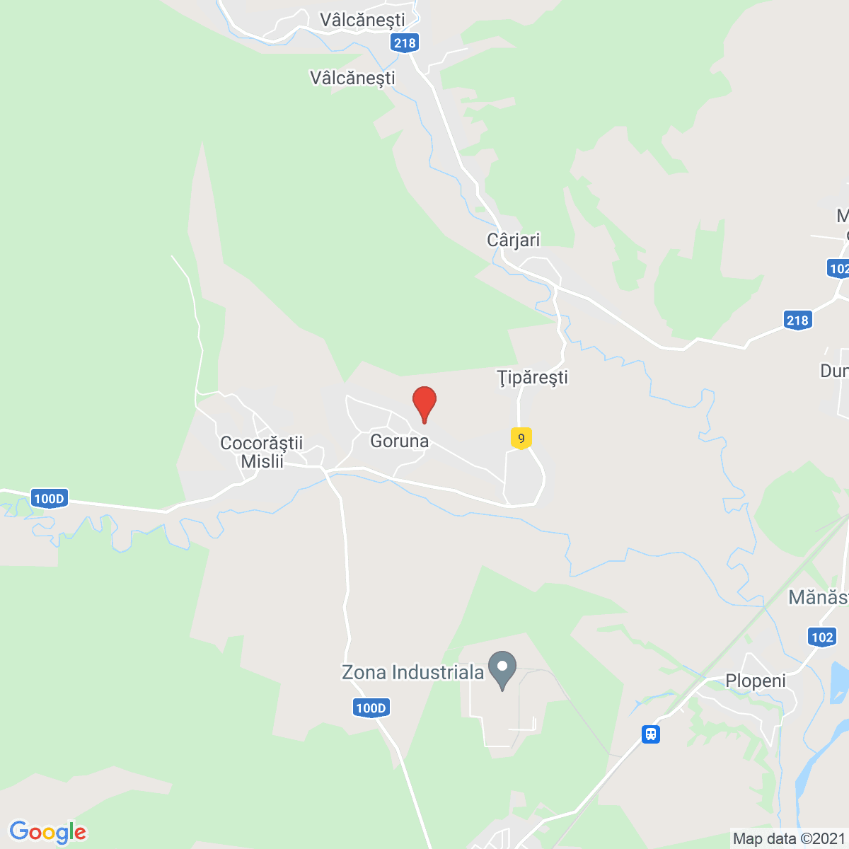 Goruna
