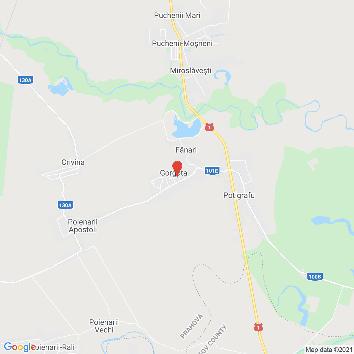 Gorgota